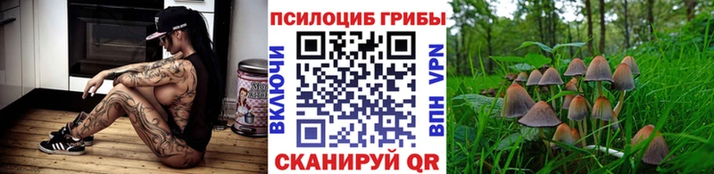 Псилоцибиновые грибы ЛСД  Орехово-Зуево 